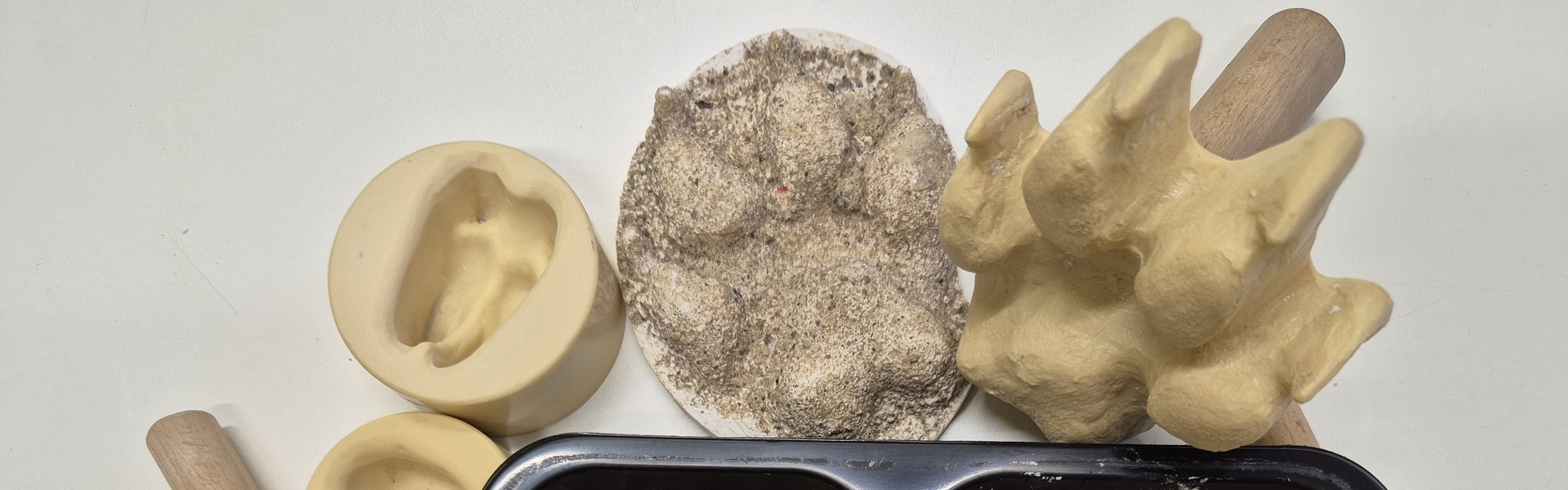 Das Foto zeigt eine schwarze Schale mit zwei Kammern. In beiden Kammern befindet sich Sand. In der Schale und darum befinden sich Stempel zum Spuren in den Sand abdrücken, Trittsiegel als Negativform und bereits fertig hergestellte Gipsabdrücke. Eine Hand drück einen Stempel in den Sand einer Schalenhälfte.