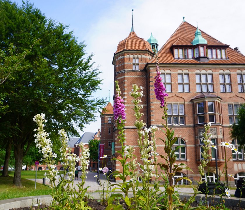Das Heinrich-Sauermann-Haus mit den Beeten des Naturwissenschaftlichen Museums.