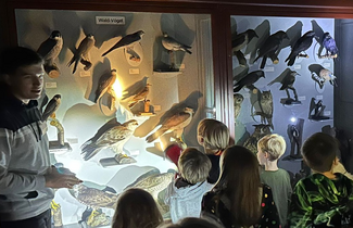 Eine Gruppe erleuchtet mit einer Taschenlampe im dunklen Museum eine Vitrine