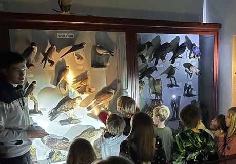 Eine Gruppe erleuchtet mit einer Taschenlampe im dunklen Museum eine Vitrine