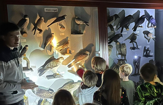 En gruppe lyser op i det mørke museum med en lommelygte i en udstillingsmontre.