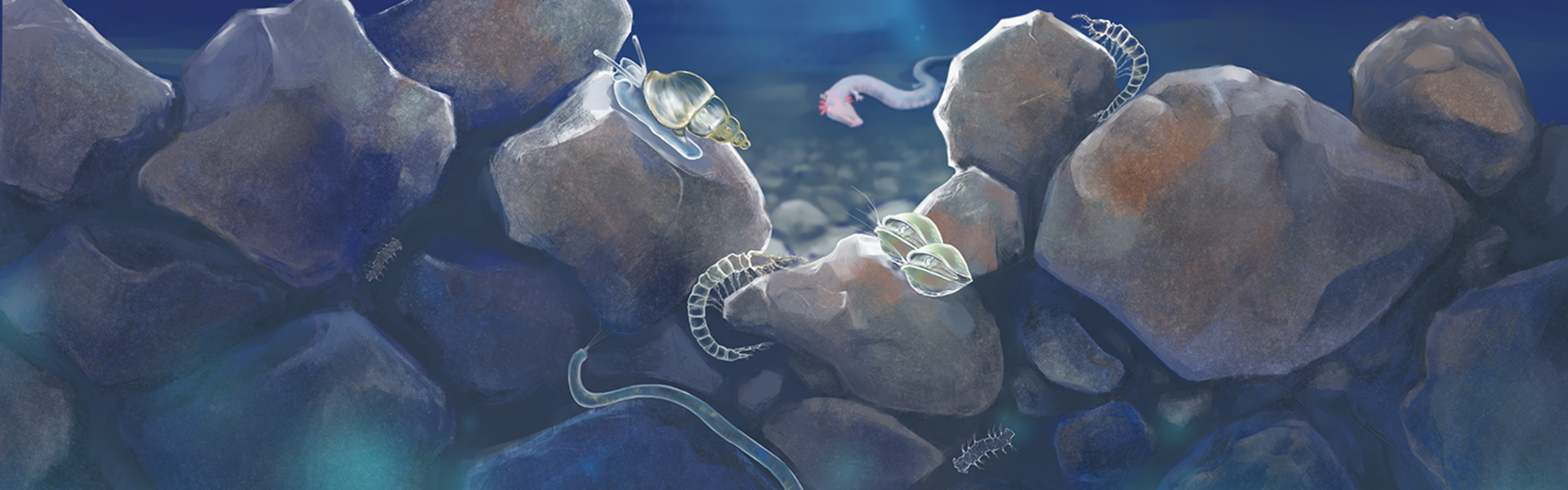 Colorierte Zeichnung des Lebensraum Grundwasser. Von oben dringt ein Lichtstrahl in die Tiefe.