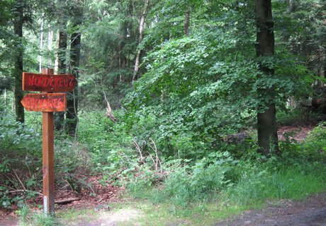 Das Foto zeigt einen Waldweg, an dem ein Wegweiser steht.