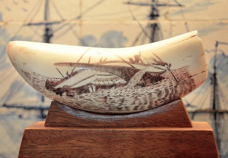 I forgrunden af fotografiet ses en tand fra en hval. Den er placeret på en træfod. På tanden er der tegnet en hvalfangstscene. Den viser, hvordan en hval har et skib i munden og bider det over. Et besætningsmedlem falder i vandet. I baggrunden af fotografiet ses et flisebillede. Det er holdt i farverne hvidt og blåt.