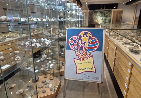 Billedet viser plakaten til en børnefødselsdagsfest i museet.