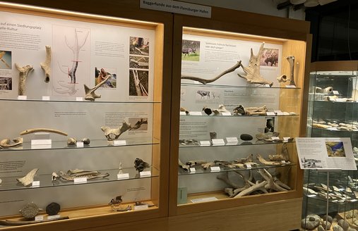 Das Foto zeigt eine Vitrine, die archäologische Baggerfunde aus dem Flensburger Hafen  unter anderem bei Kielseng enthält. Zu erkennen sind Informationen zu Provenienz und Selektion der Funde, zur Ertebølle-Kultur sowie zu T-Äxten.