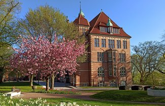 Das Heinrich-Sauermann-Haus ist ein Teil des Museumsberg Flensburg. Es ist ein Gebäude aus roten Steinen. Das Dach ist auch rot und blau. Das Haus hat viele Dekorationen und Fenster. Um das Gebäude herum gibt es blühende Bäume und Blumen. Der Himmel ist blau.