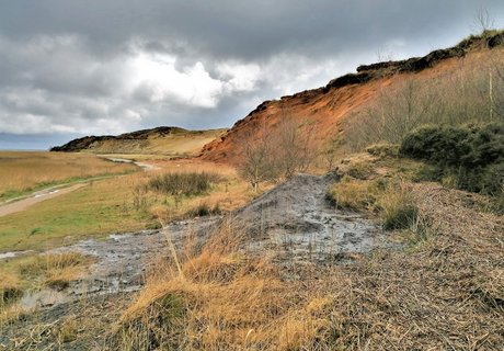 Morsum Kliff auf Sylt
