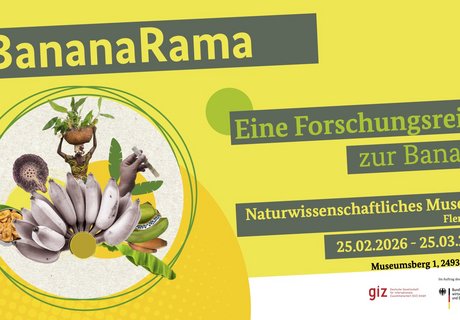 Das Bild zeigt die Ankündigung der Sonderausstellung BananaRama im Naturwissenschaftlichen Museum als Poster.  Dargestellt auf bananengelben Untergrund sind als Text die Ankündigungen des Ausstellungstitels und der Ausstellungsdauer. Kleine Bilder auf der linken Seite zeigen Bananen, Bananenblätter, eine Detailaufnahme einer Frau, die einen Korb mit Bananen auf dem Kopf trägt sowie die Detailaufnahme einer Hand mit einem Reagenzglas. Außerdem sind die Logos der Deutschen Gesellschaft für Internationale Zusammenarbeit GmbH und dem Bundesministerium für wirtschaftliche Zusammenarbeit und Entwicklung unten rechts abgebildet.