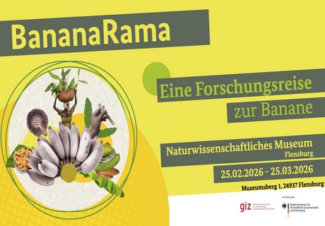 Das Bild zeigt die Ankündigung der Sonderausstellung BananaRama im Naturwissenschaftlichen Museum als Poster. Dargestellt auf bananengelben Untergrund sind als Text die Ankündigungen des Ausstellungstitels und der Ausstellungsdauer. Kleine Bilder auf der linken Seite zeigen Bananen, Bananenblätter, eine Detailaufnahme einer Frau, die einen Korb mit Bananen auf dem Kopf trägt sowie die Detailaufnahme einer Hand mit einem Reagenzglas. Außerdem sind die Logos der Deutschen Gesellschaft für Internationale Zusammenarbeit GmbH und dem Bundesministerium für wirtschaftliche Zusammenarbeit und Entwicklung unten rechts abgebildet.