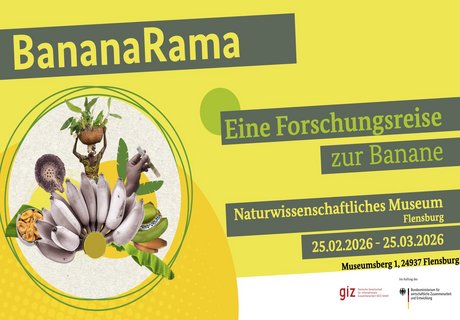 Das Bild zeigt die Ankündigung der Sonderausstellung BananaRama im Naturwissenschaftlichen Museum als Poster.  Dargestellt auf bananengelben Untergrund sind als Text die Ankündigungen des Ausstellungstitels und der Ausstellungsdauer. Kleine Bilder auf der linken Seite zeigen Bananen, Bananenblätter, eine Detailaufnahme einer Frau, die einen Korb mit Bananen auf dem Kopf trägt sowie die Detailaufnahme einer Hand mit einem Reagenzglas. Außerdem sind die Logos der Deutschen Gesellschaft für Internationale Zusammenarbeit GmbH und dem Bundesministerium für wirtschaftliche Zusammenarbeit und Entwicklung unten rechts abgebildet.