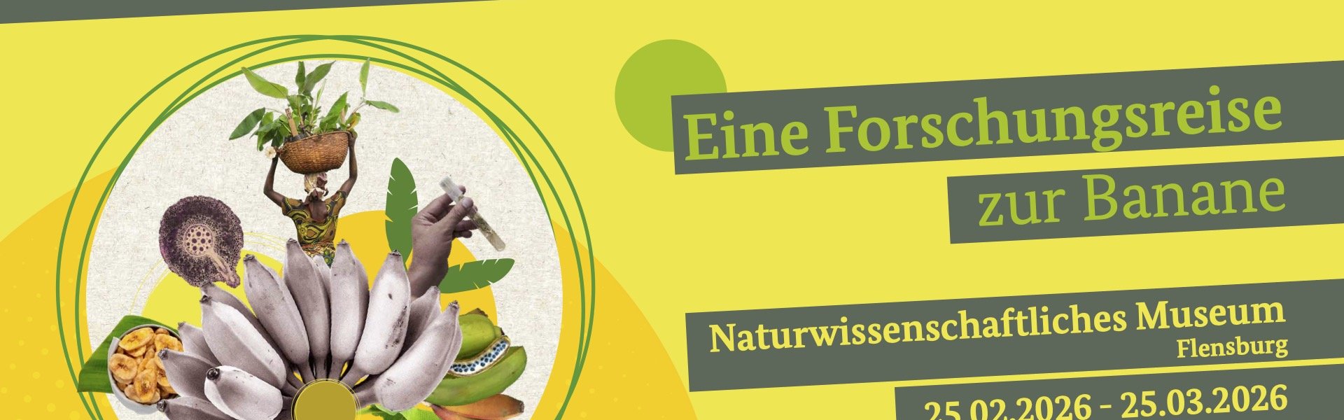 Das Bild zeigt die Ankündigung der Sonderausstellung BananaRama im Naturwissenschaftlichen Museum als Poster.  Dargestellt auf bananengelben Untergrund sind als Text die Ankündigungen des Ausstellungstitels und der Ausstellungsdauer. Kleine Bilder auf der linken Seite zeigen Bananen, Bananenblätter, eine Detailaufnahme einer Frau, die einen Korb mit Bananen auf dem Kopf trägt sowie die Detailaufnahme einer Hand mit einem Reagenzglas. Außerdem sind die Logos der Deutschen Gesellschaft für Internationale Zusammenarbeit GmbH und dem Bundesministerium für wirtschaftliche Zusammenarbeit und Entwicklung unten rechts abgebildet.