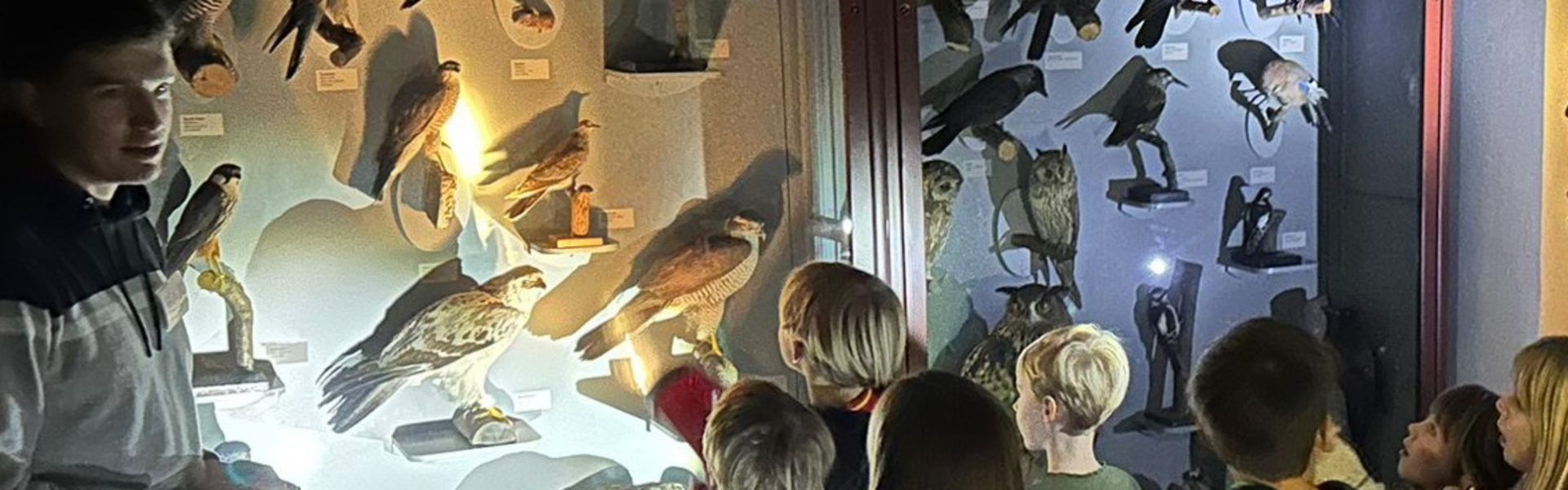 Auf dem Foto ist zu sehen, wie der Strahl einer Taschenlampe Spannendes in der Ausstellung beleuchtet.