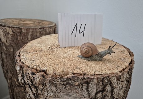 Das Modell einer Weinbergschnecke sitzt auf einem Baumstamm. Hinter dem Modell befindet sich ein Zettel mit der Zahl 14 darauf. Es handelt sich um einen Hinweis in der Entdecker-Tour, dem die Teilnehmenden auf die Spur kommen.