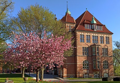 Auf der bunten Fotografie sieht man ein altes Gebäude aus rotem Backstein. Es ist das Heinrich-Sauermann-Haus am Museumsberg.  Vor dem Gebäude sieht man Teile eines kleinen Parks. Links ist ein Blumenbeet mit weißen Blumen. Dahinter steht eine Sitzbank. Ein Stück weiter rechts von der Bank steht ein Kirschblütenbaum mit rosa Blüten. Rechts sieht man einen großen runden Blumenkübel aus Stein. Darin sind bunte Blumen. Ganz hinten sieht man Teile eines anderen Hauses und Bäume. Das ist das Hans-Christiansen-Haus.