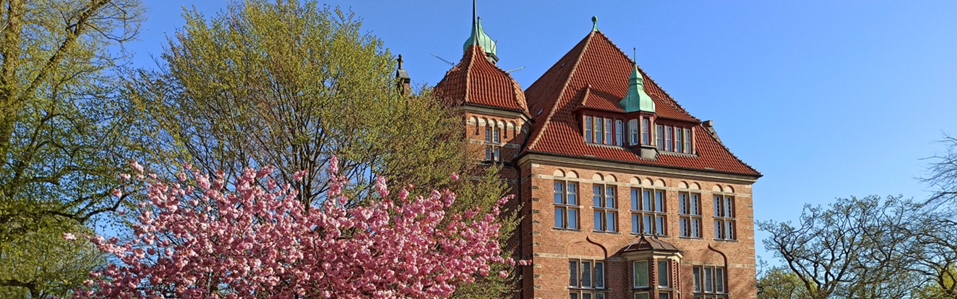 Eine bunte Fotografie. Darauf zu sehen ist ein altes Gebäude aus rotem Backstein. Das Gebäude ist das Heinrich-Sauermann-Haus des Museumsbergs. Davor sieht man Teile eines kleinen Parks. Links ist ein Blumenbeet mit weißen Blumen, dahinter ist eine Sitzbank. Ein bisschen weiter rechts von der Bank ist ein Kirschblütenbaum mit rosa Blüten. Rechts sieht man einen großen runden Blumenkübel aus Stein. Darin sind bunte Blumen. Im Hintergrund erkennt man Teile eines anderen Hauses und Bäume.