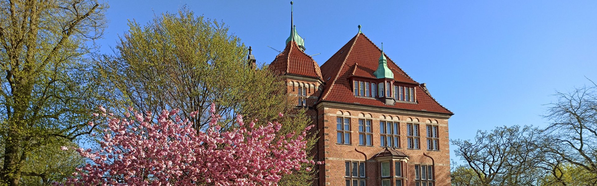 Auf der bunten Fotografie sieht man ein altes Gebäude aus rotem Backstein. Es ist das Heinrich-Sauermann-Haus am Museumsberg.  Vor dem Gebäude sieht man Teile eines kleinen Parks. Links ist ein Blumenbeet mit weißen Blumen. Dahinter steht eine Sitzbank. Ein Stück weiter rechts von der Bank steht ein Kirschblütenbaum mit rosa Blüten. Rechts sieht man einen großen runden Blumenkübel aus Stein. Darin sind bunte Blumen. Ganz hinten sieht man Teile eines anderen Hauses und Bäume. Das ist das Hans-Christiansen-Haus.
