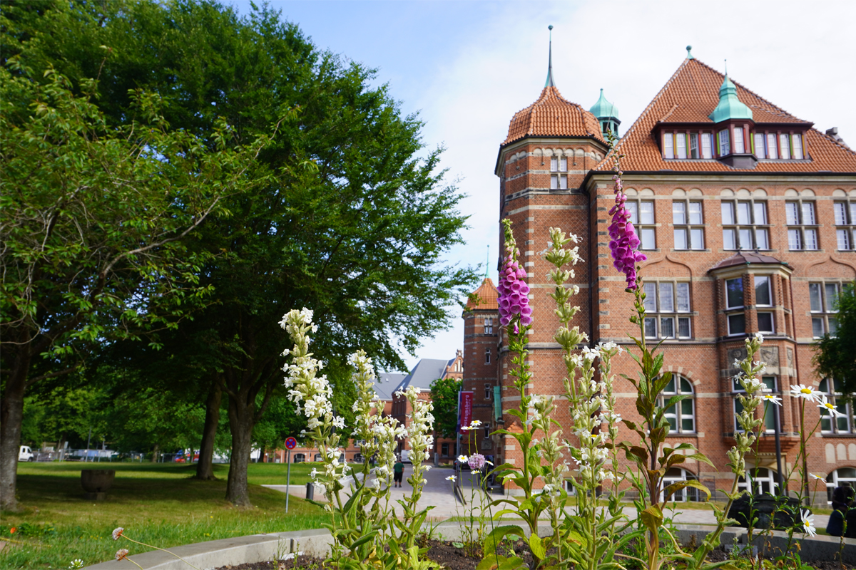 Das Heinrich-Sauermann-Haus mit den Beeten des Naturwissenschaftlichen Museums.